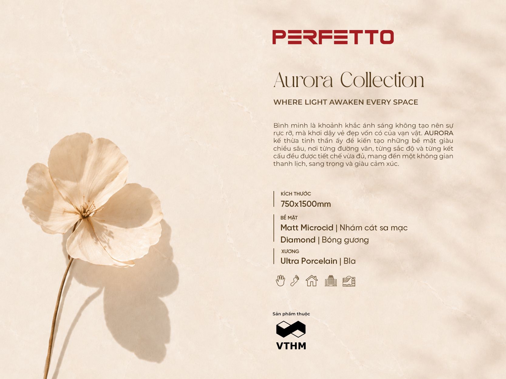 Aurora Collection - Khơi nguồn cảm hứng từ ánh sáng bình minh